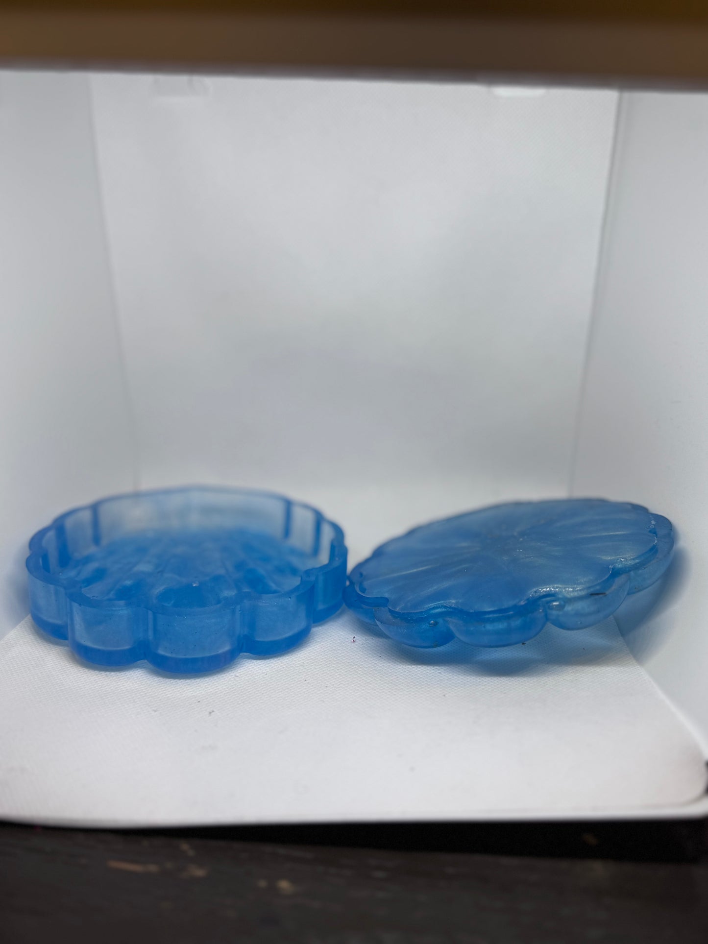 Seashell Container